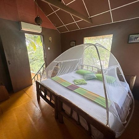 Yala Eco Tree House New Hotell Tissamaharama Exteriör bild