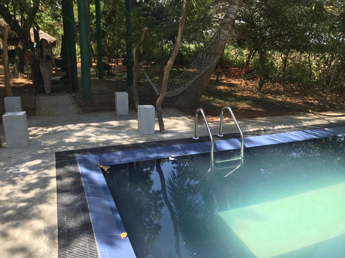 Yala Eco Tree House New Hotell Tissamaharama Exteriör bild