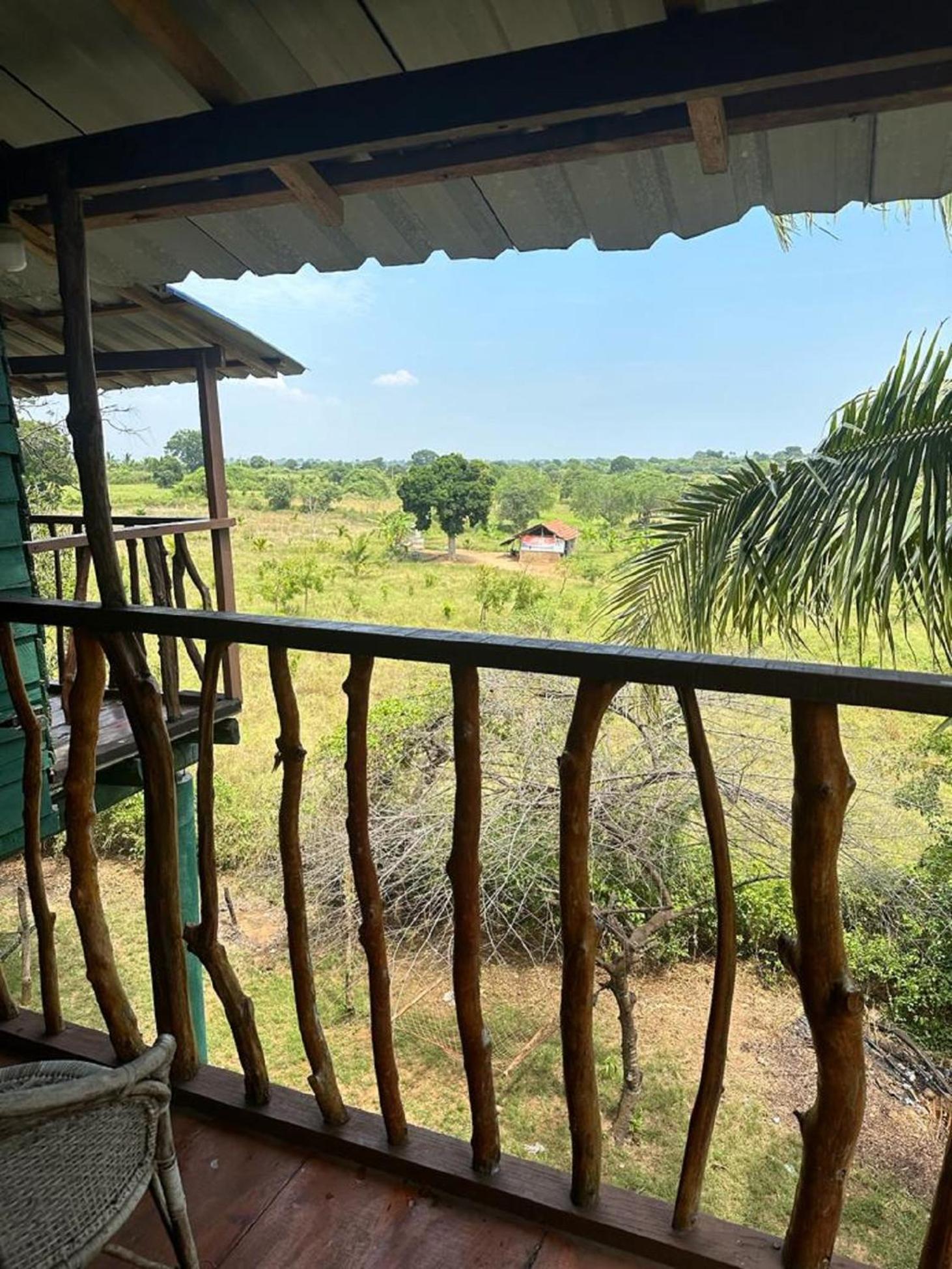 Yala Eco Tree House New Hotell Tissamaharama Exteriör bild