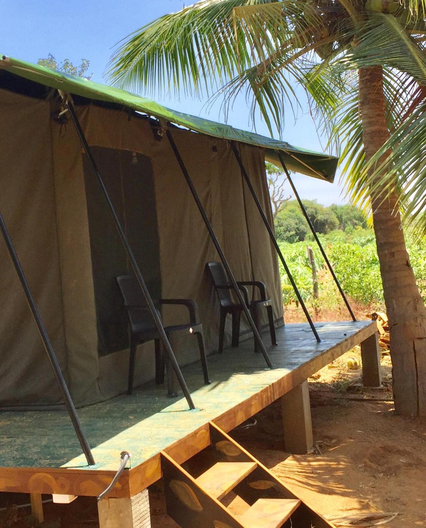 Yala Eco Tree House New Hotell Tissamaharama Exteriör bild