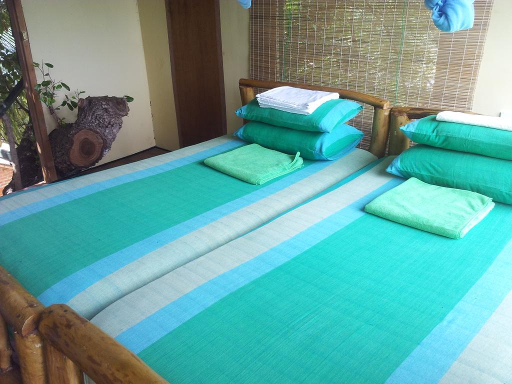 Yala Eco Tree House New Hotell Tissamaharama Rum bild