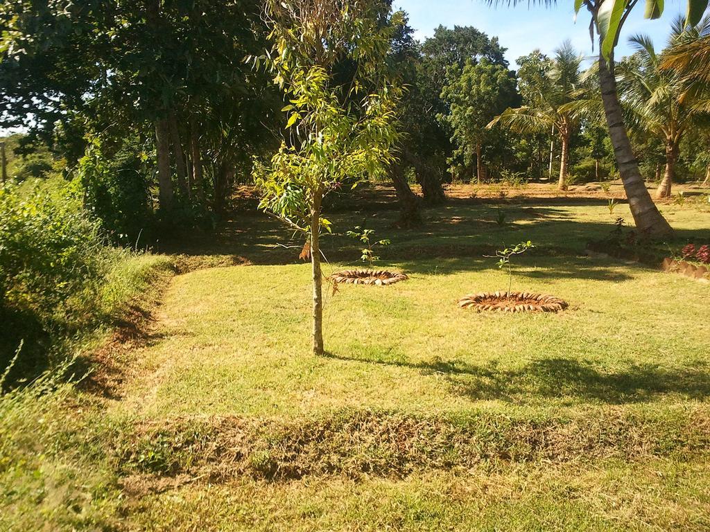 Yala Eco Tree House New Hotell Tissamaharama Exteriör bild