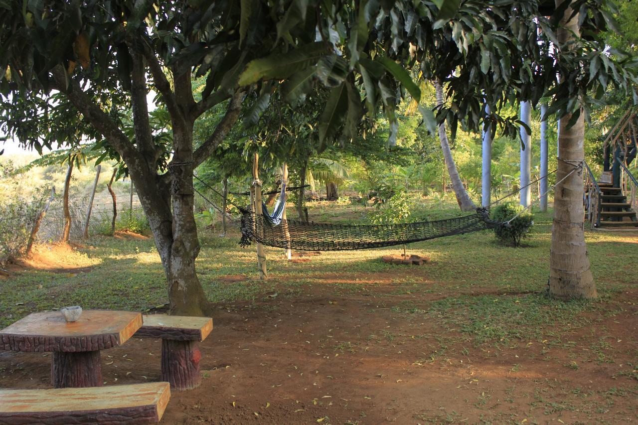 Yala Eco Tree House New Hotell Tissamaharama Exteriör bild