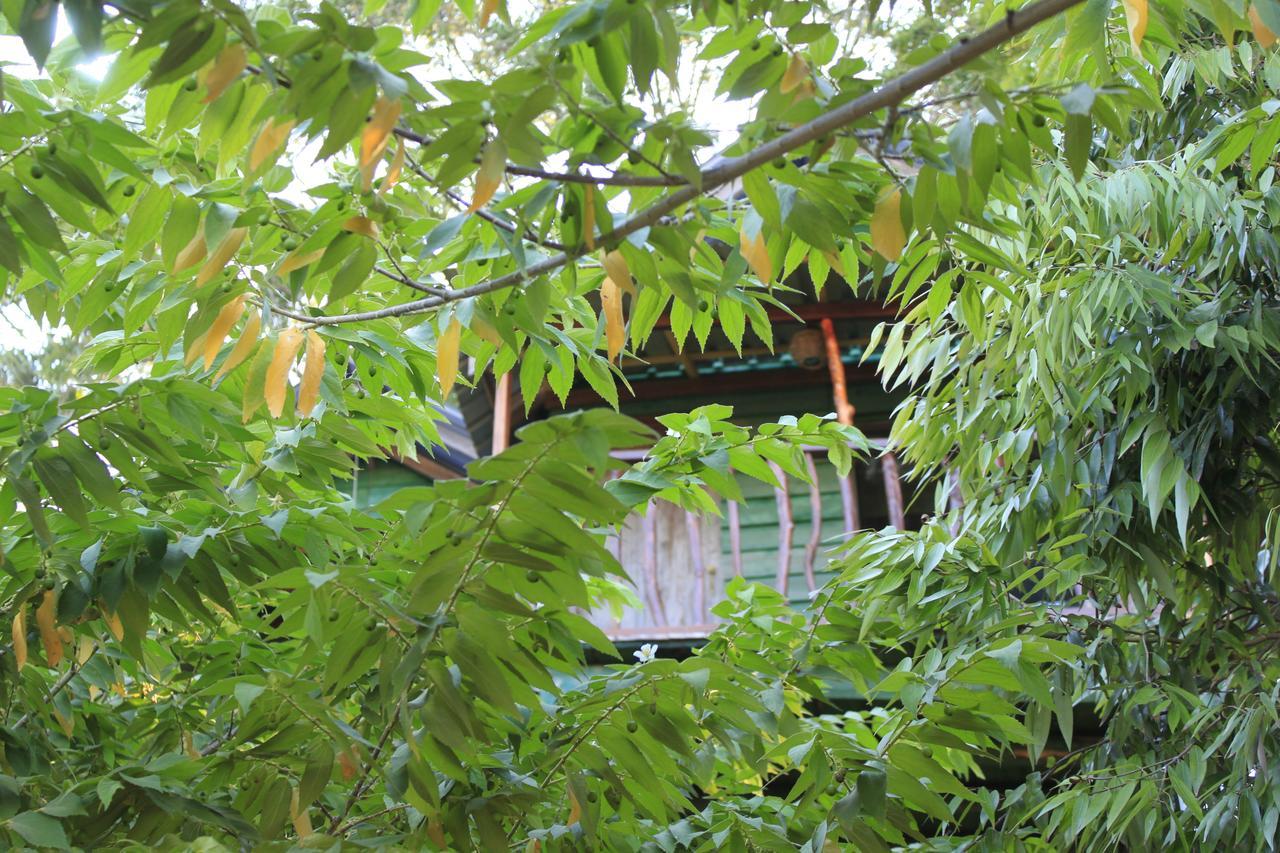 Yala Eco Tree House New Hotell Tissamaharama Exteriör bild