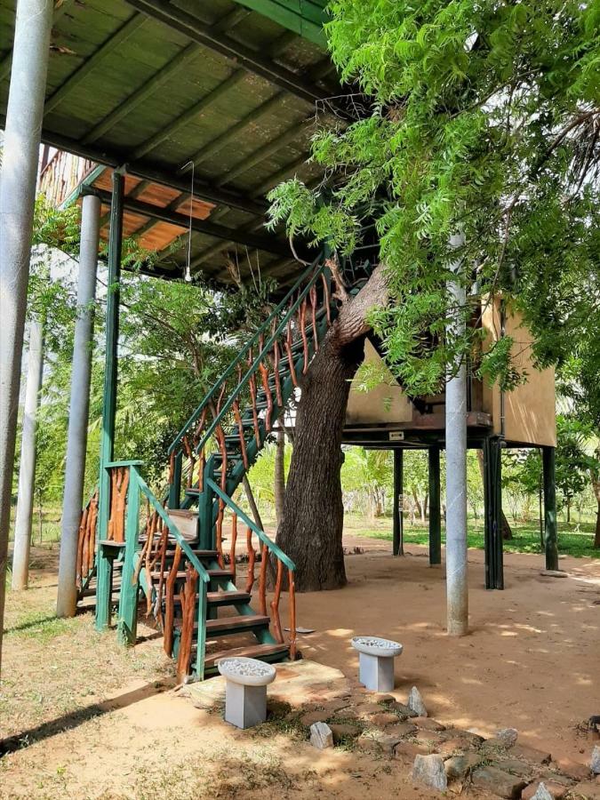 Yala Eco Tree House New Hotell Tissamaharama Exteriör bild