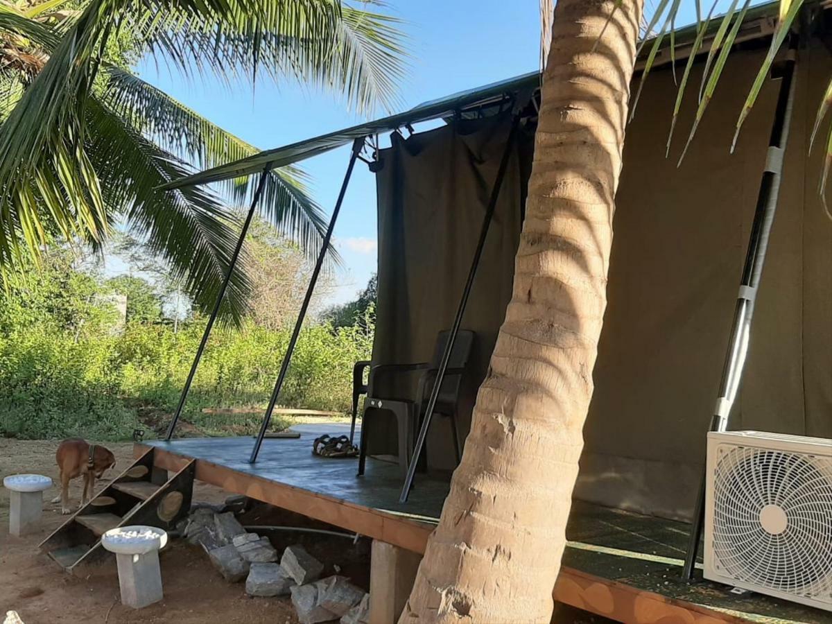 Yala Eco Tree House New Hotell Tissamaharama Exteriör bild
