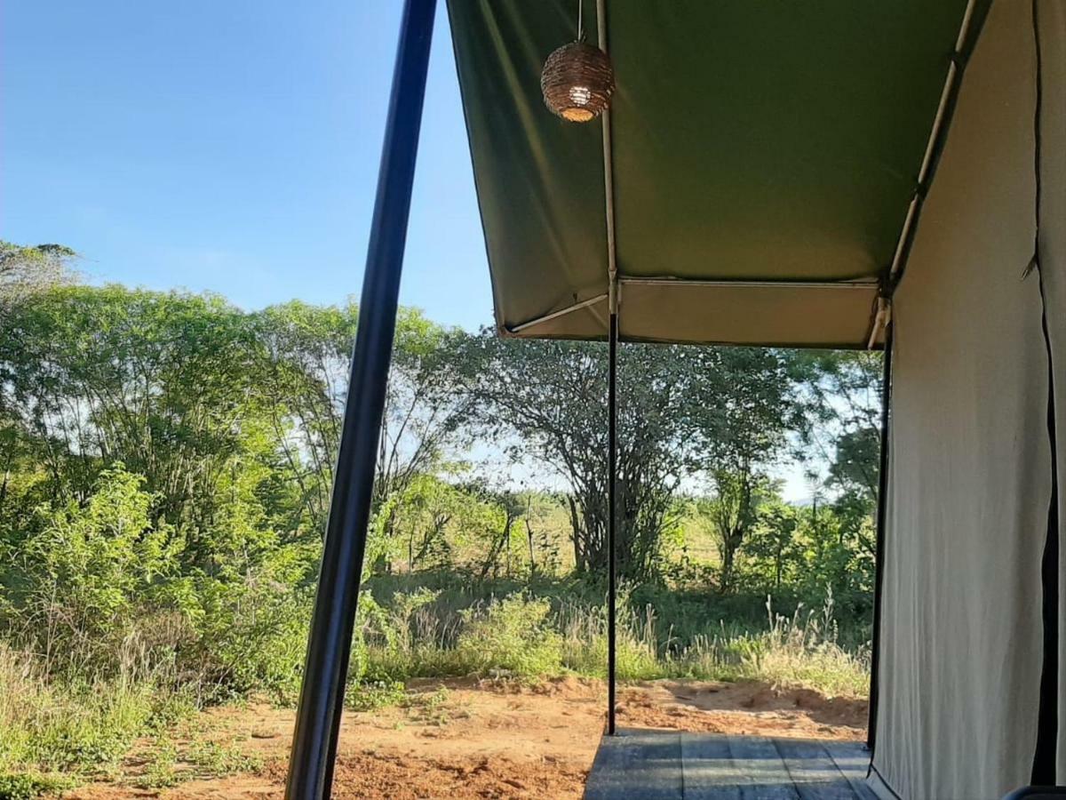 Yala Eco Tree House New Hotell Tissamaharama Exteriör bild