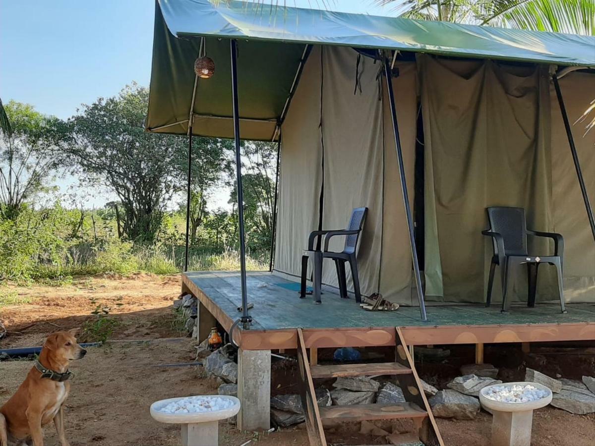 Yala Eco Tree House New Hotell Tissamaharama Exteriör bild