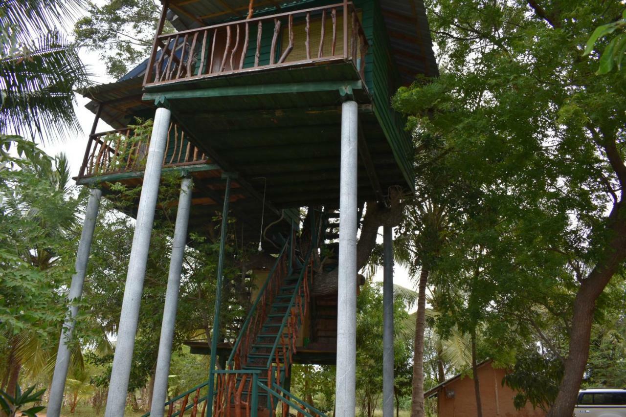 Yala Eco Tree House New Hotell Tissamaharama Exteriör bild