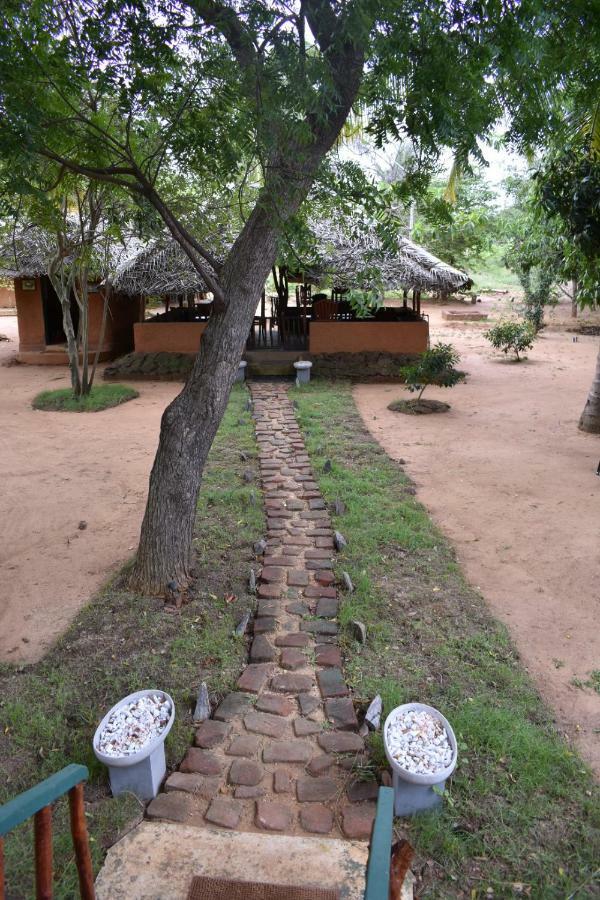 Yala Eco Tree House New Hotell Tissamaharama Exteriör bild